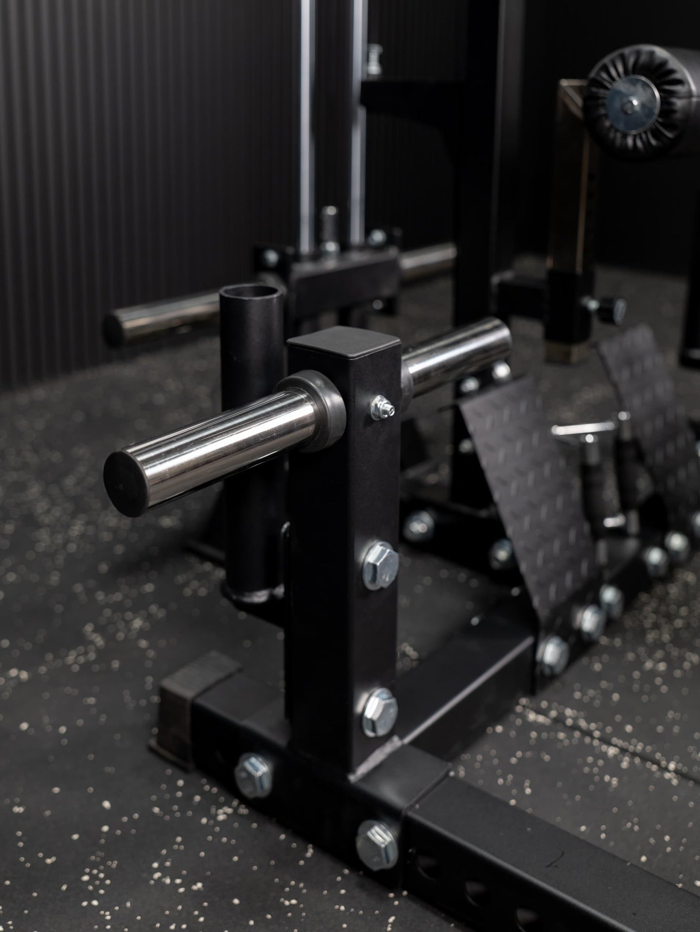 All-in-One Half Rack, Smith Machine & Latzug SQMIZE® PREMIUM BISON SQ-S550RSR, Höhe 224 cm